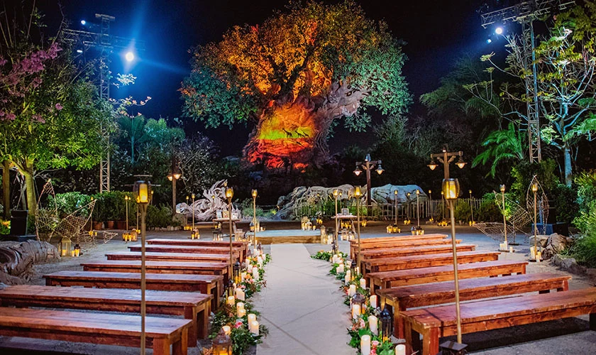 Wedding ceremony in front of the Tree of Life at Disney's Animal Kingdom