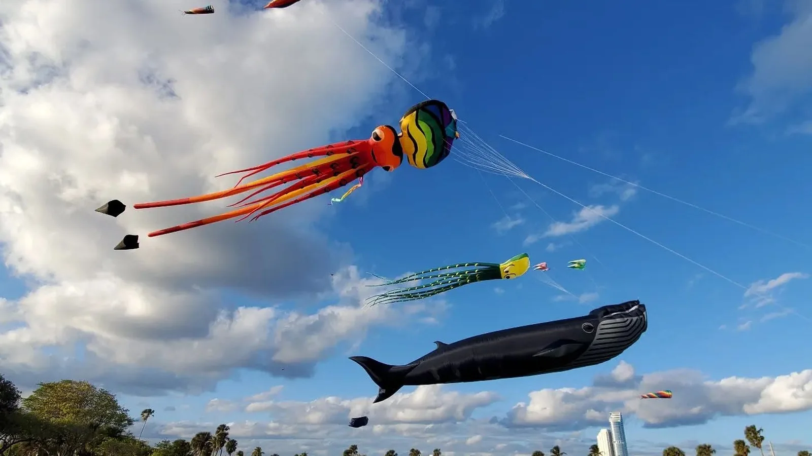 Pipas gigantes no October Kite Festival em Miami Beach