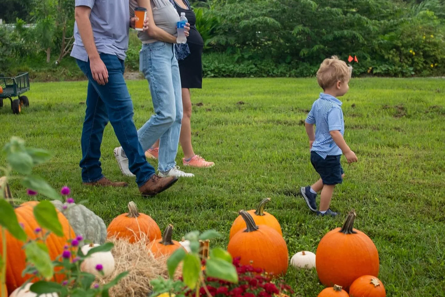 4Roots Harvest Festival em Orlando