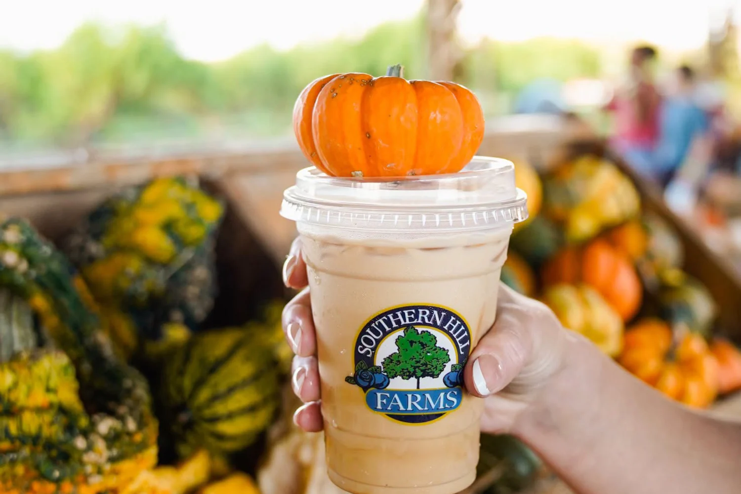 Fall Festival da Southern Hill Farms em Clermont