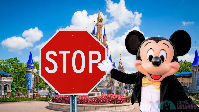 Disney: prohibited and allowed items in parks