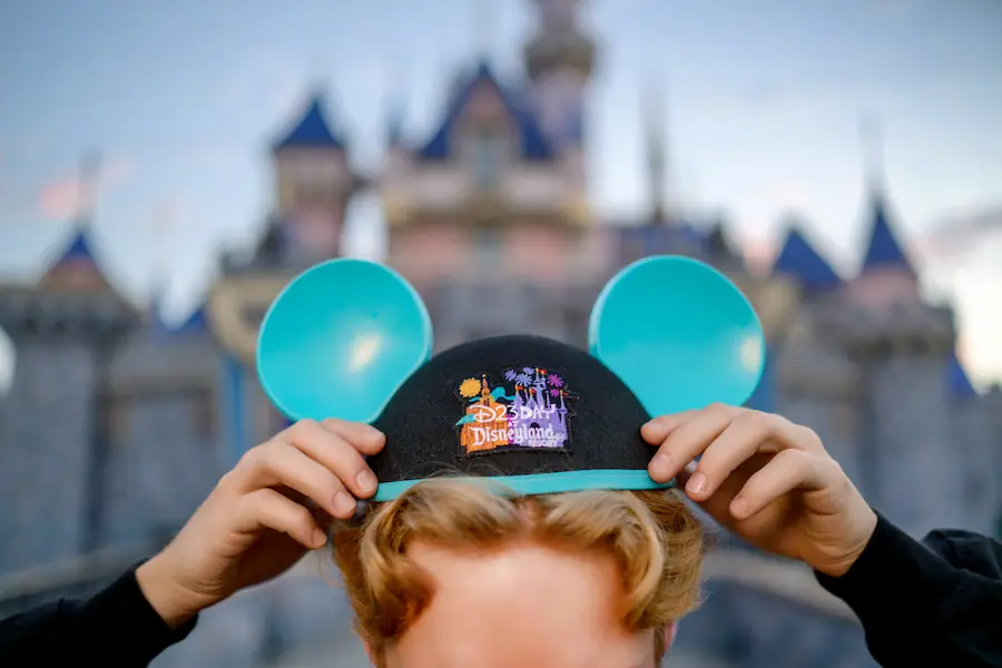 D23 Celebrative Hat are among the fan-sale products