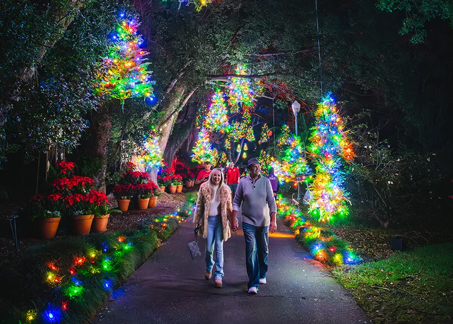Visitantes caminham por trilha iluminada do Harry P. Leu Gardens durante o evento natalino Dazzling Nights em Orlando
