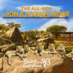 Banner da nova área do Busch Gardens mostra leões e hienas em um habitat de savana africana com rochas e árvores