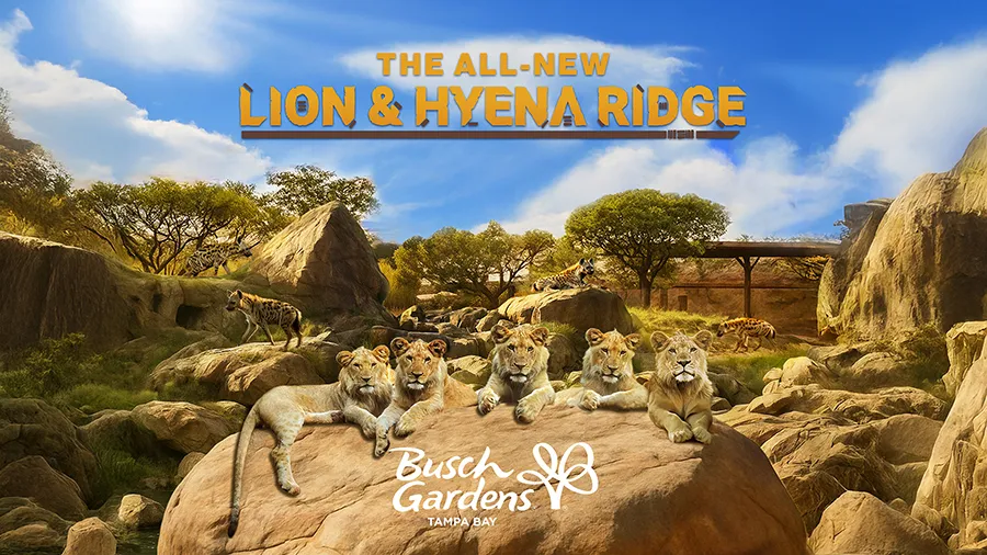 Banner da nova área do Busch Gardens mostra leões e hienas em um habitat de savana africana com rochas e árvores